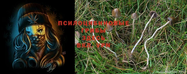 марки nbome Костерёво